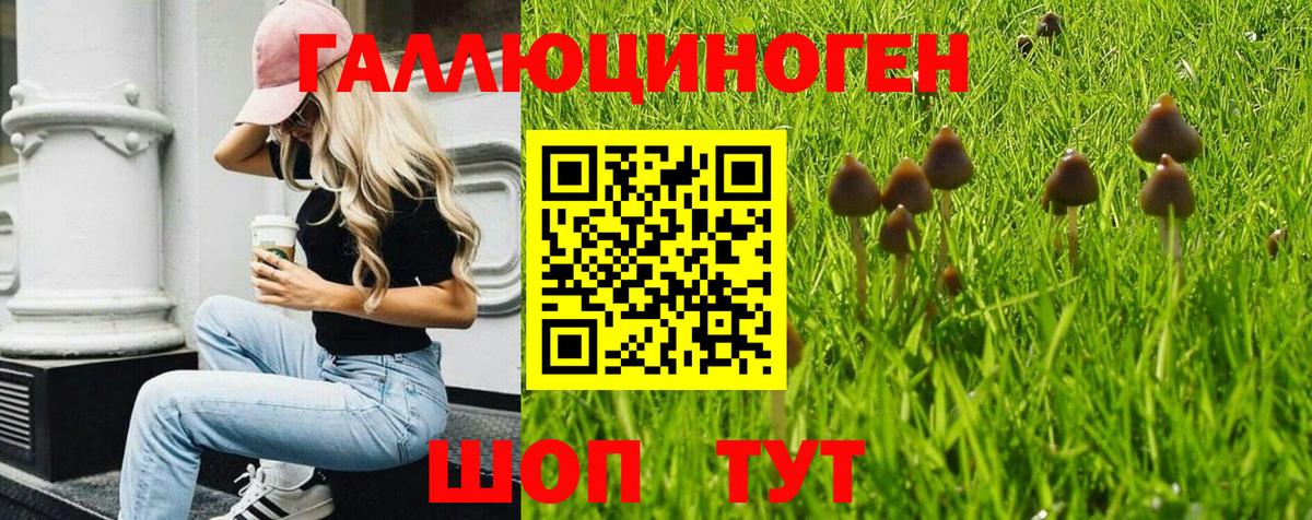 Галлюциногенные грибы MAGIC MUSHROOMS  Вход с VPN  Корсаков 